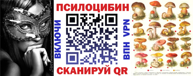 Купить где  Уварово  Псилоцибиновые грибы ЛСД 